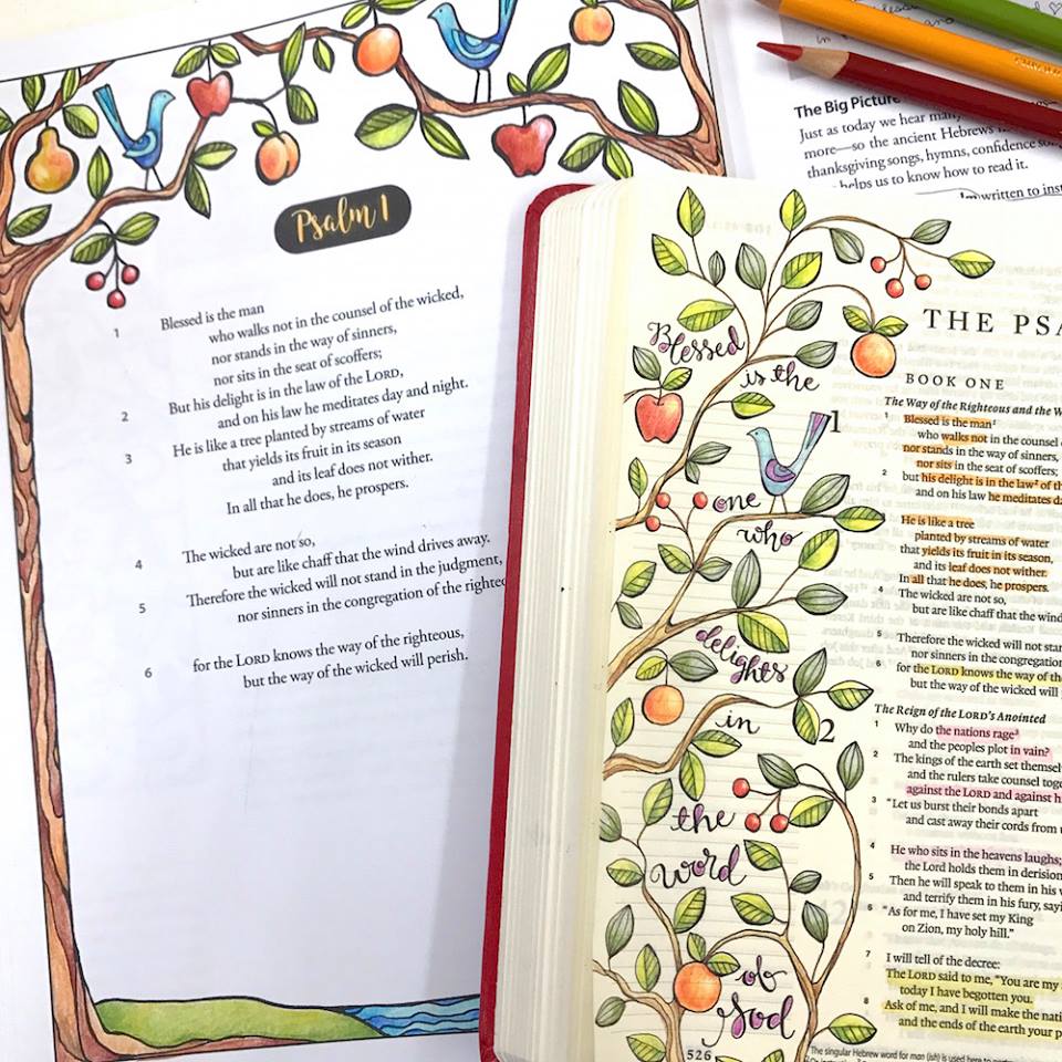 Book Giveaway: “Discovering Hope in the Psalms” by Pam Farrel