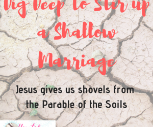 Dig Deep to Stir Up a Shallow Marriage