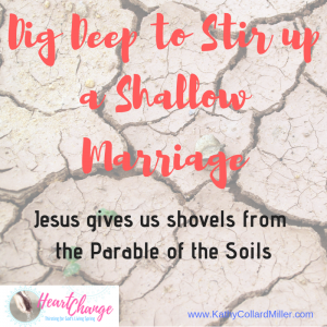 Dig Deep to Stir Up a Shallow Marriage