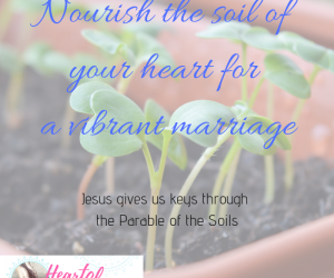 Your Marriage Is Like The Parable of the Soils